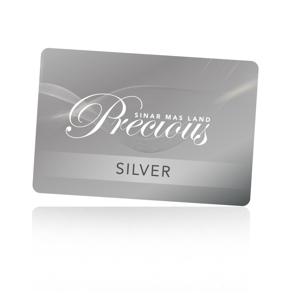 Samsung x Precious Card Silver